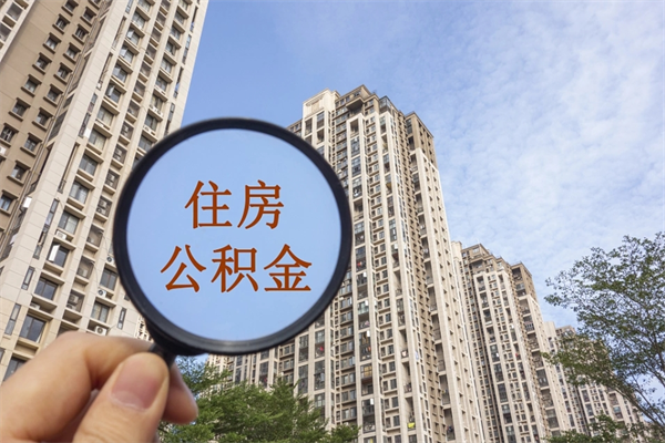 六安上海公积金提取咨询（六安全国公积金提取线上提取）